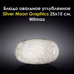 Блюдо овальное углубленное Silver Moon Graphics 25x15 см. Wilmax - фото 28000