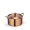 Мини-кастрюля сервировочная с крышкой Bronze Matt 16х7 см. (2 ручки). Wilmax 554246/S - фото 42359